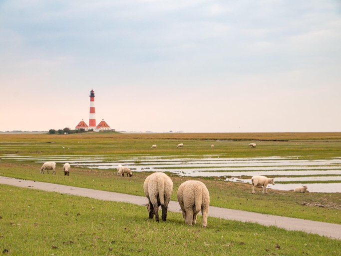 Others 4, Ferienwohnung, St. Peter-Ording, Nordfriesland