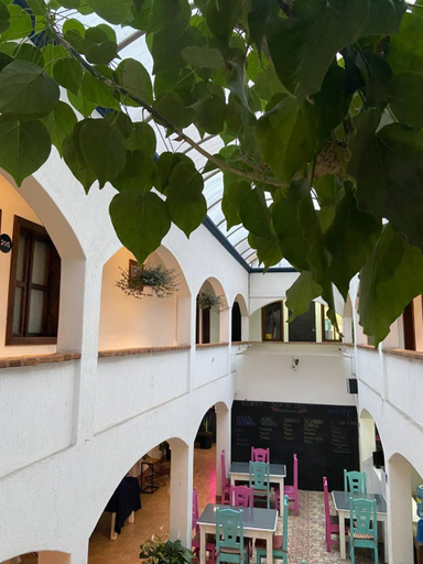 Exterior & Views 2, Jardines de Luz, San Cristóbal de las Casas