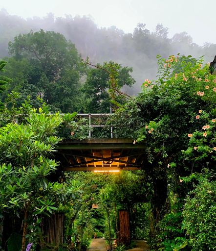 3, Vrapat, Chiang Dao