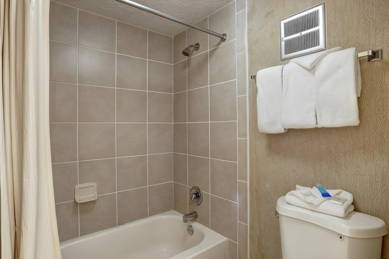Bathroom 4, Fiddler's Inn, Davidson