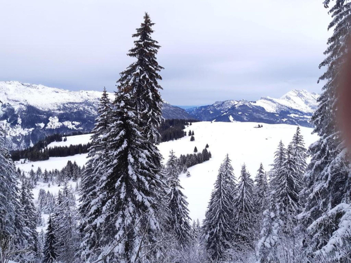 Others 3, Chalet in La Clusaz with Pool Spa, Haute-Savoie