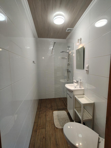 Bathroom 3, Chatki Lesniczego z basenem 517-665-624, Lesko