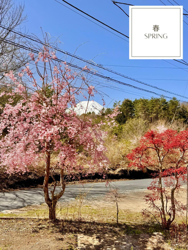 Others 4, Guest House 圭堂-Seidou- $0 for rental bicycle, Fujiyoshida