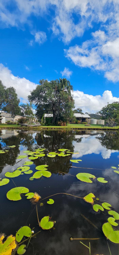 Others 2, Sunnys Piece Of Paradise, Miriam Vale