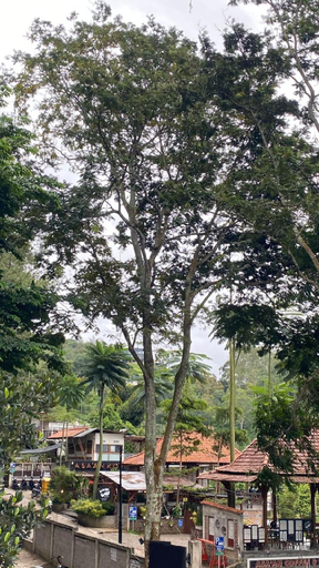Others 5, Asaan homestay, Bandung