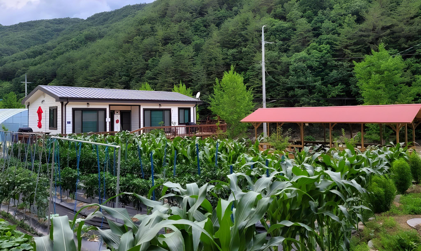 Others 2, Uljin Wangpicheon Healing Farm, Uljin