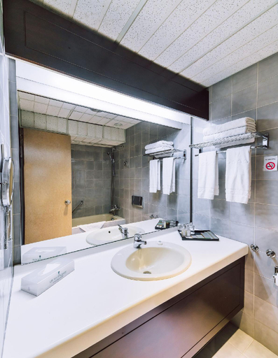 Bathroom 4, Chinggis Khaan Hotel, Ulan Bator