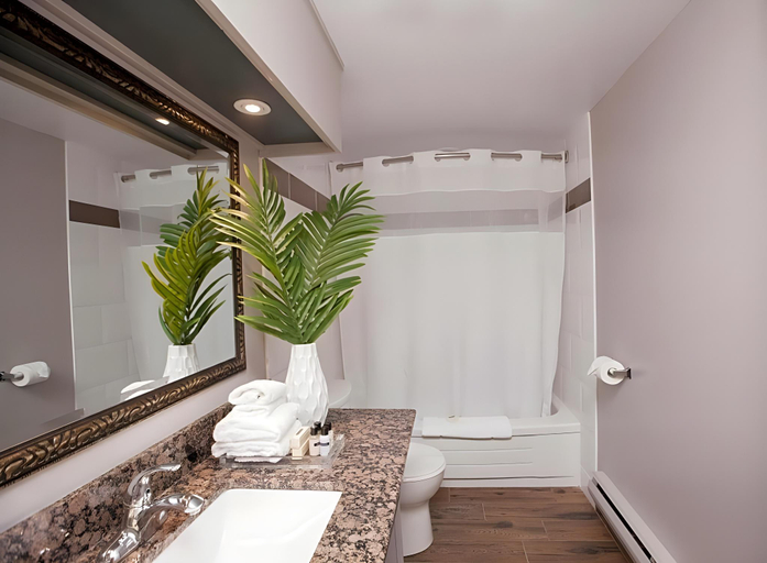 Bathroom 4, Old Stone Inn Boutique Hotel, Niagara