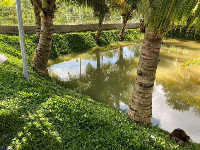Others 5, Coconut Garden Homestay, Lấp Vò