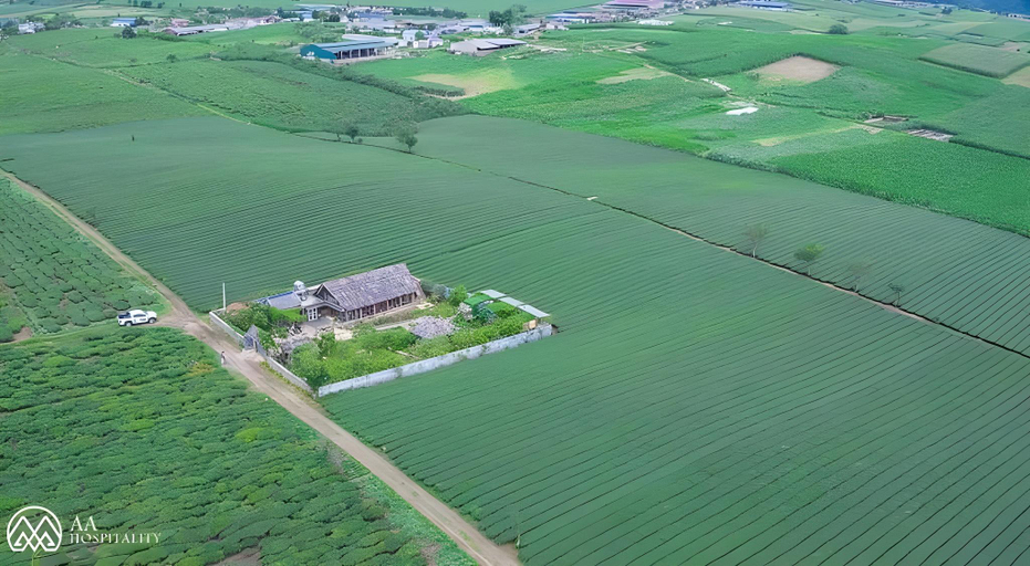 Others 4, The Meadow, Mộc Châu