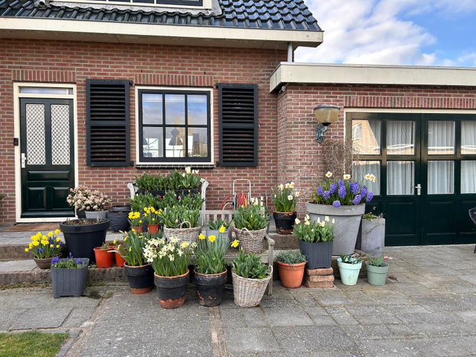 Others 2, Flowerbed, Voorhout