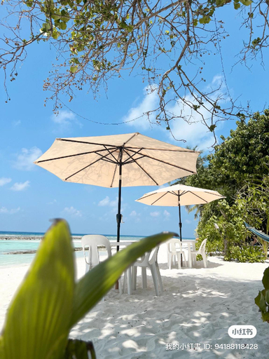 Food & Drinks 4, Bougainvillea Inn - Maldives, Vaavu Atoll