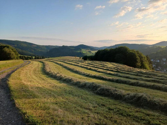 Others 5, Wohnung mit Balkon und toller Aussicht, Waldeck-Frankenberg