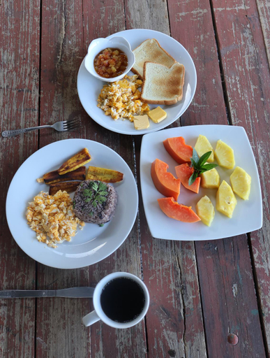 Food & Drinks 3, Granja los Campesinos, Puntarenas