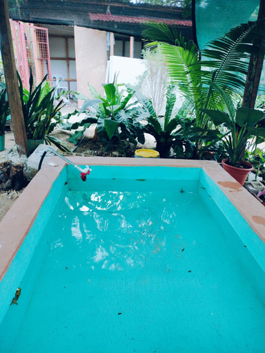 Sport & Beauty 5, Suan's Garden Nook, San Juan