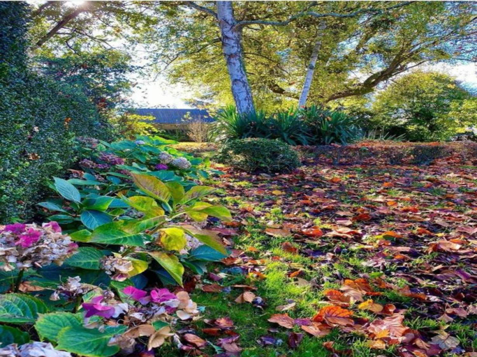 Others 5, Peaceful Stay near Lake, Manche