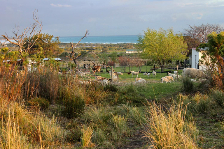 Others 5, Blombos Self-Catering House, Overberg