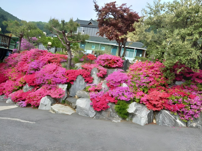 Others 4, Yangpyeong Sunny Hill Pension, Yangpyeong