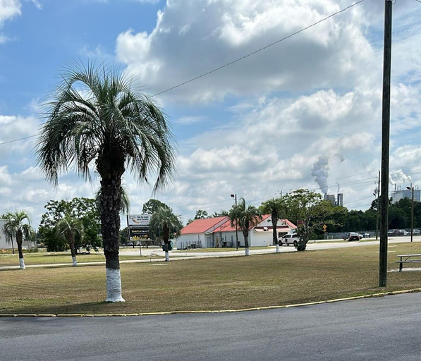 Others 4, Motel Jesup, Wayne