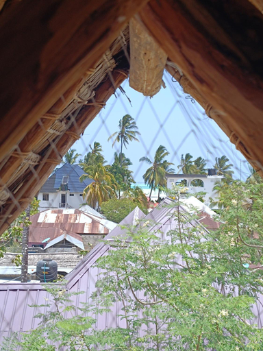 Others 4, Mgongo tree house, Kusini
