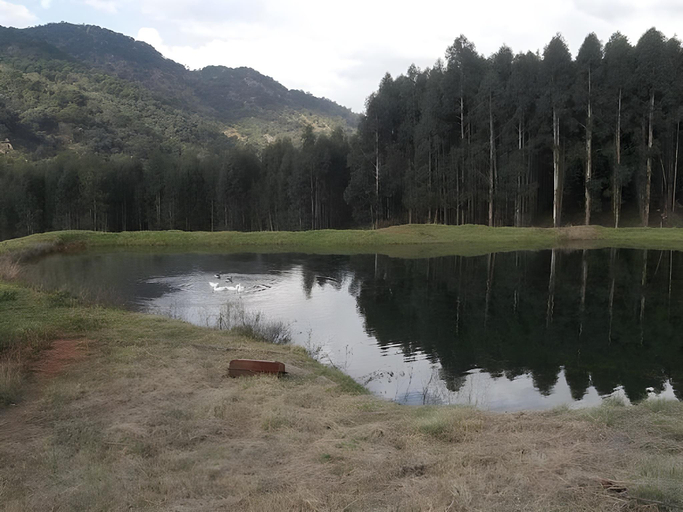 Others 4, Emahlathini Guest Farm Guest House, Gert Sibande