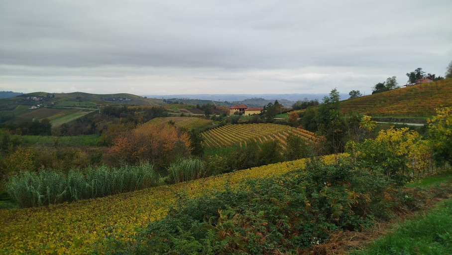 Others 3, Il Giardino di Sofia B&B, Cuneo
