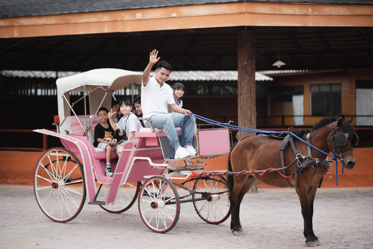Horseback riding 5, Amphawa Horse Farm, Amphawa
