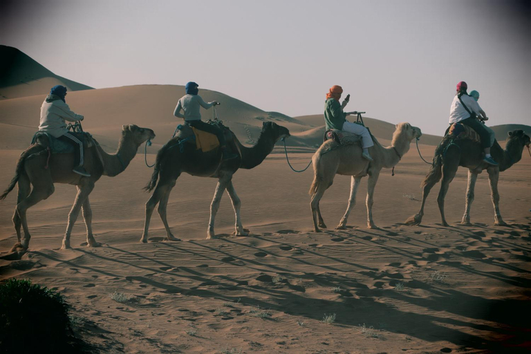 Others 5, CHILL SURFER HOSTEL, Agadir-Ida ou Tanane