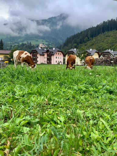 Others 4, Panorama Apartments Semslach, Spittal an der Drau