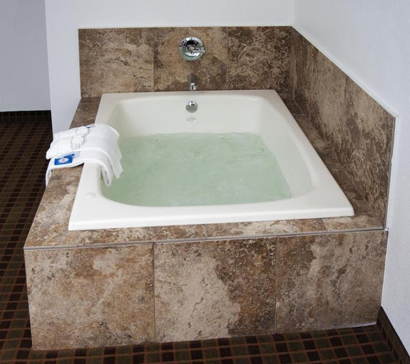 Bathroom, Quality Inn Greenville I-30, Hunt