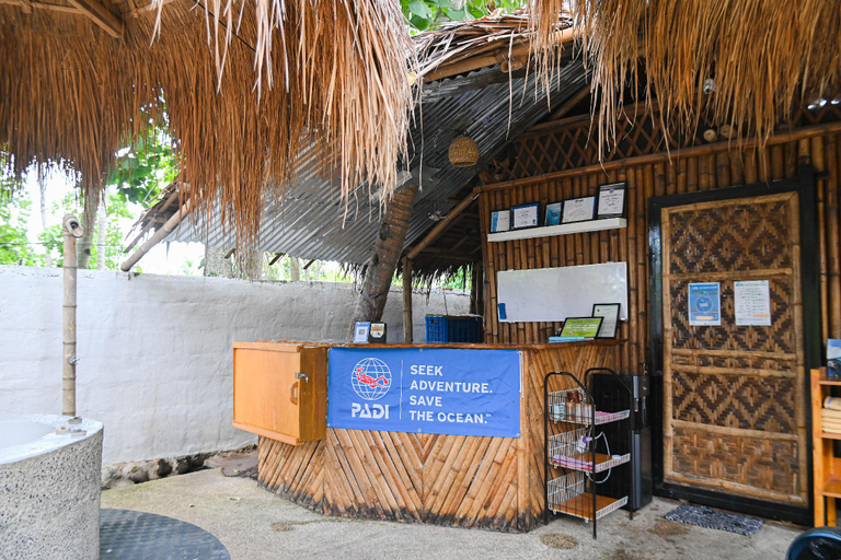Reception 4, Dive Camp, Dauin