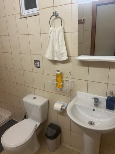 Bathroom 4, The mansion of Dionisos and Dimitras 7, West Greece