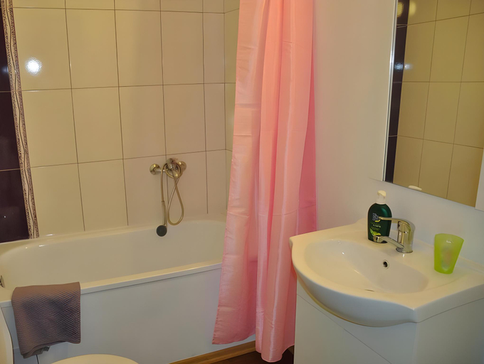 Bathroom 4, Alegria, Eselnita