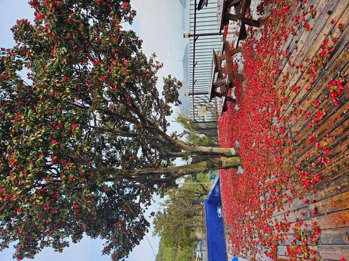 Others 2, Yeosu Geumpa Pension, Yeosu
