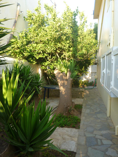 Others 4, Vokamvilia Apartments, South Aegean