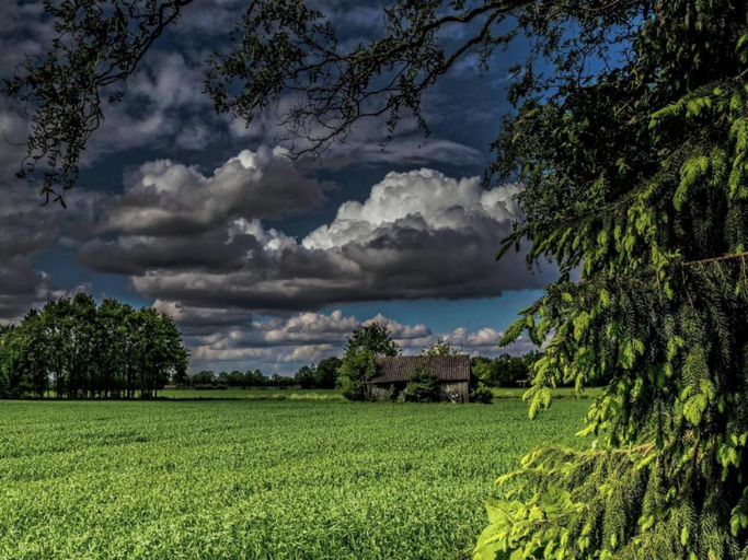 Others 3, Farmhouse in Geesteren near Forests, Borculo