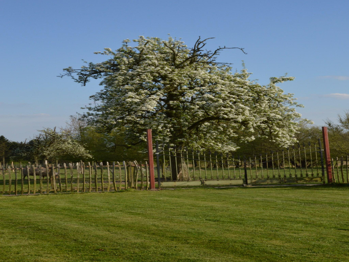 Others 5, Mansion with stunning view, Oost-Vlaanderen