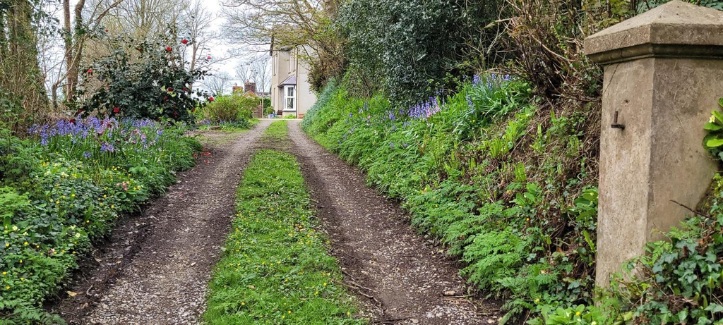 Others 5, The Manse featuring the Daisy Camrose, Pembrokeshire