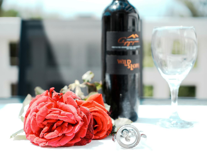 Food & Drinks 4, Asteria House, Central Greece