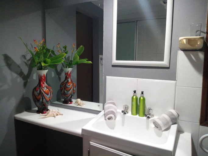 Bathroom 5, Hilton Castle, Umgungundlovu