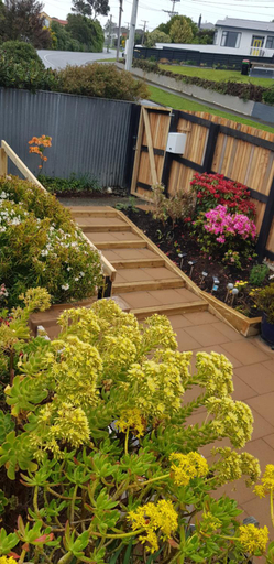 Others 4, Rosemount B&B by the Sea St Clair, Dunedin