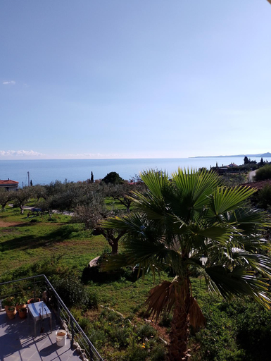 Others 4, Elena Bungalows, Peloponnese