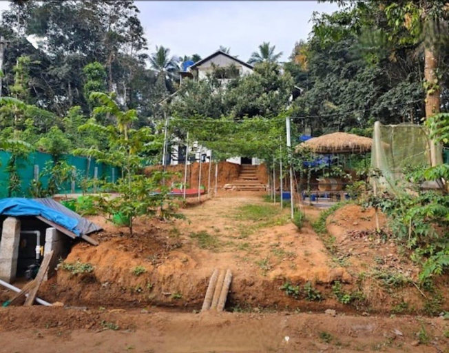 Others 4, Loquat Inn Homestay, Wayanad