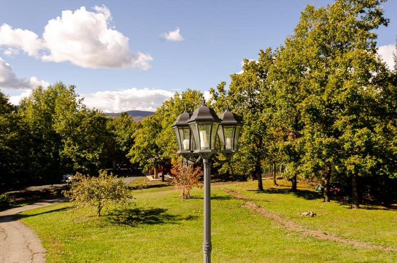 Others 4, La ghiandaia, Parma