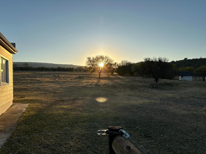 Others 2, Roydon Nature Reserve, Chris Hani