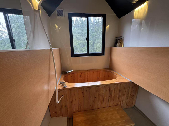 Bathroom 4, Hakuba Sunvalley Hotel, Hakuba