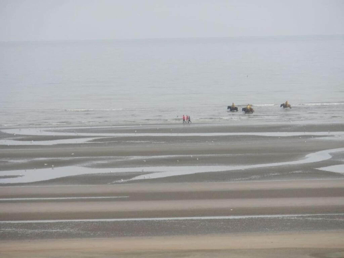 Others 5, Apartment by the Beach in Belgium, West-Vlaanderen