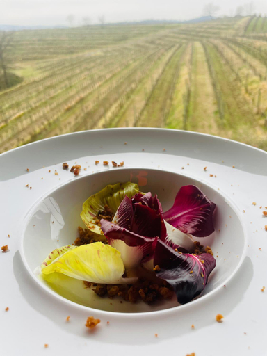 Food & Drinks 5, Nema, Gorizia