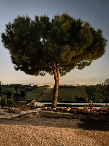 Others 5, B&B Santa Caterina, Ascoli Piceno