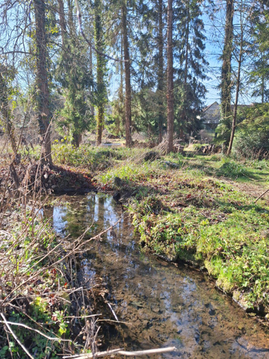 Others 3, Le Refuge des Libellules, Oise